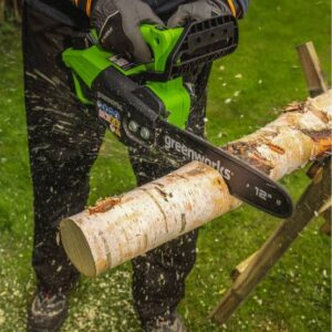 Lithium-Ionen-Batterie-Gartenschere – GREENWORKS