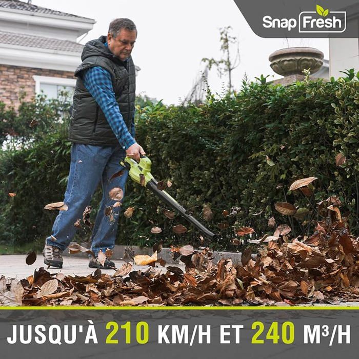 Souffleur batterie 20V léger 1.2 kg - souffleurs de feuilles sans fil 210 km/h 240m³/h 2 vitesses avec batterie et, a-ve ASPIRATEUR – Image 3
